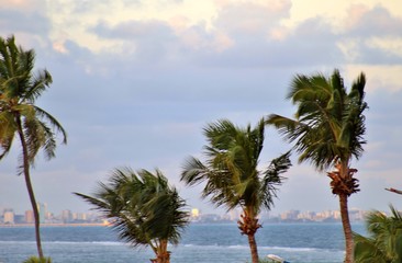 Praia tropical, Praia do Franc&ecirc;s, Alagoas, Brasil