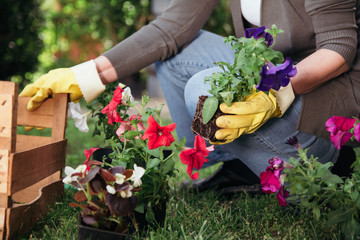 Woman arranging plants in her garden