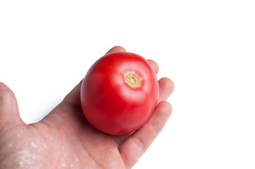 A mature red in hand tomato isolated on a white background. vegetables.Copy space