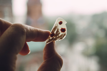 hand with bird
