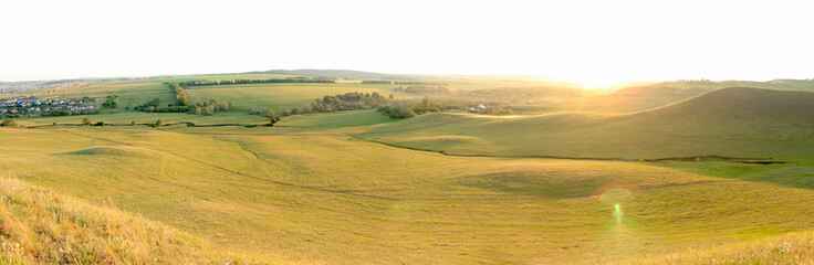 panorama landscape of the green field 