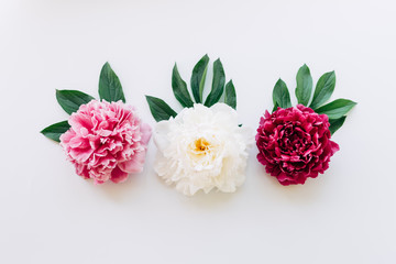Three peonies