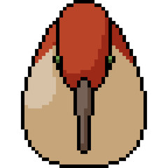 vector pixel art bird