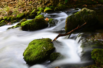 stream in the forest