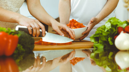 Closeup of human hands cooking in kitchen. Mother and daughter or two female friends cutting vegetables for fresh salad. Friendship, family dinner and lifestyle concepts