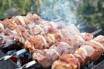 Food on the fire, picnic. Cooking grilled fragrant tasty hot barbecue shashlik on coals on the grill of pickled meat of pork, lamb and beef with onions on skewers