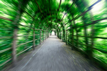 Tunnelblick grün