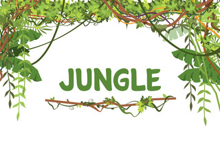 Jungle exotic leaves and lianes vector background. Tropical nature tree forest, jungle plant summer with place for text illustration