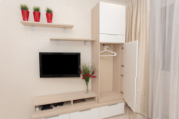 TV wall with lots of shelves for books with green flower in red pots