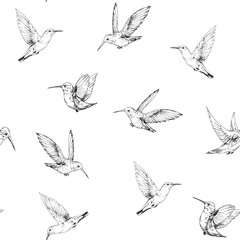 Seamless pattern with hummingbirds. Hand drawn vector illustration