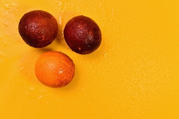 Three red oranges on a yellow sunny background on the left. On fruit and water drops background.