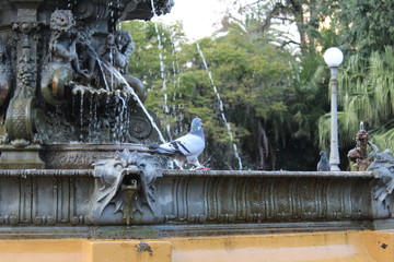 Fototapeta na wymiar fountain in park