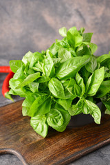 Board with fresh green basil on grunge background