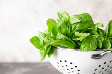 Colander with fresh green basil on table