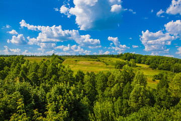 Fototapeta na wymiar Beautiful field and forest. Russia. Mordovia.