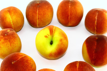 One peach in the center of a circle of other peaches on a white background