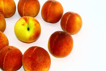 Peach circle with one peach in the center on a white background
