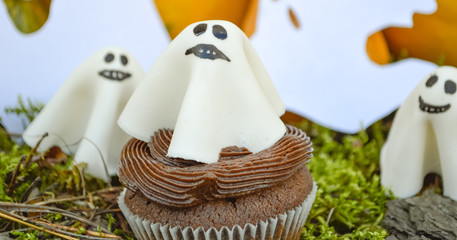 Happy Halloween Cupcakes.Halloween cookies.Composition for Halloween with sweets..Pumpkin, ghost, spider, gloom, moss, party, birthday
