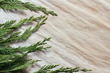 Coniferous branch on old paper background texture. Template for letter, banner or coupon. Text space. Christmas theme. 