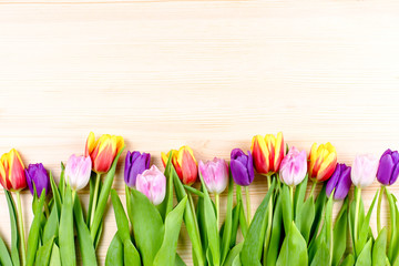 Pink, purple, yellow tulips on wooden background, flowers arrangement. Greeting card with flowers, copyspace