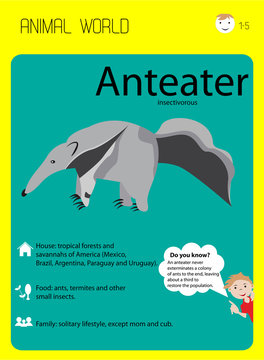Anteater. Habitat, food, family. Developmental educational flash cards for children, kindergartens and children's centers