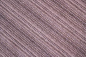 Fototapeta premium Textured brown carpet whit sun glares. Morning concept.