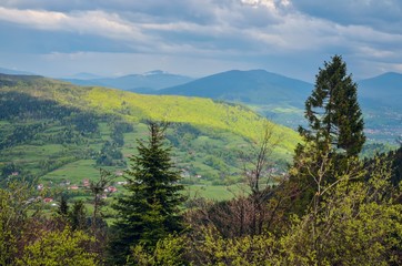 Beautiful spring green landscape. View of the beautifully lit green hill.