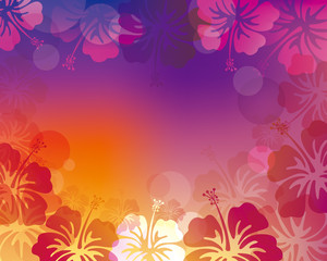Fototapeta na wymiar vector illustration background of hibiscus
