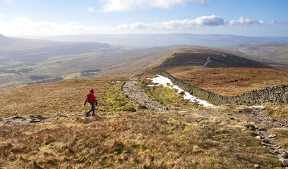 A hiker walking down from the summit of Whernside, part of the Three Peaks with Sand Beds Head Pike in the distance. The Yorkshire Dales, England.