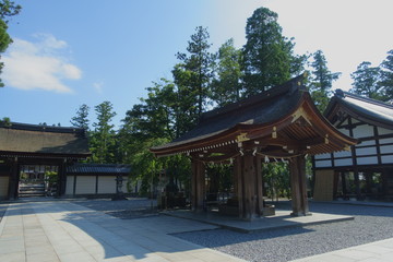 Fototapeta premium 滋賀県、多賀大社のお手水場と境内の風景