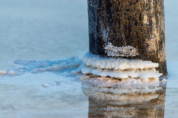 Salt on wooden log in water salt lake. Salt Lake Baskunchak, Russia