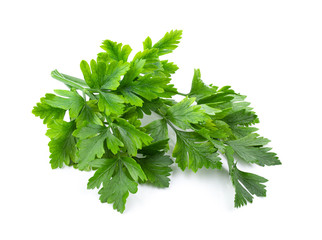 fresh parsley herb isolated on white background. full depth of field