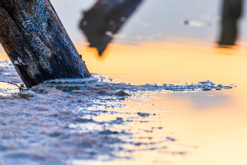 Salt on wooden log in water salt lake. Salt Lake Baskunchak, Russia