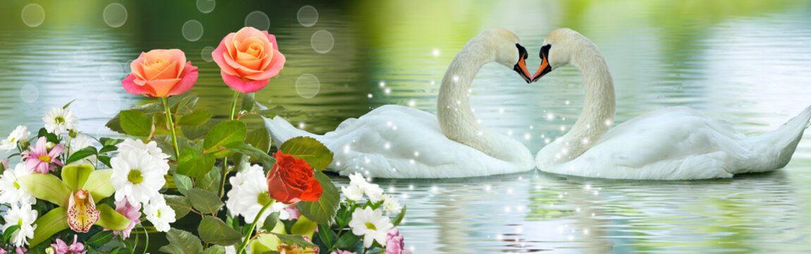 image of beautiful flowers and swans on the water close up