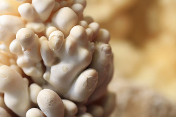 calcite stalactite mineral texture