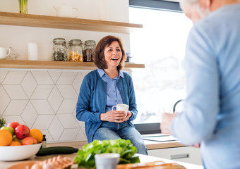 A portrait of senior couple indoors at home, talking.