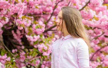 Kid enjoying cherry blossom sakura. Happy spring vacation. Spring in botany garden. That is how spring smells. Tender bloom. Little girl enjoy spring. Kid on pink flowers of sakura tree background