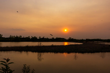 Obraz premium Rotary Park