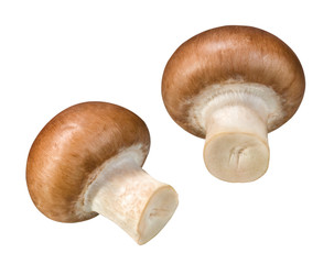 Braune Champignons