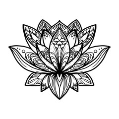 Filigree lotus flower, vector hand drawn illustration