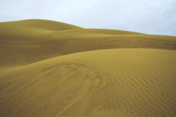 dunes in the desert