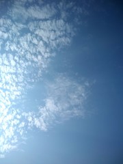 Blue sky with fluffy white clouds