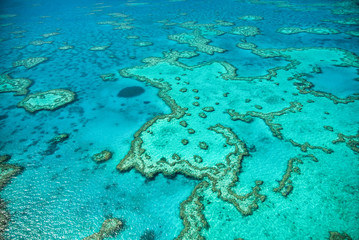 Natural Great Barrier Reef in Queensland. Aerial view of nature paradise with magnificent colors