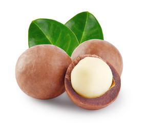 Whole and open australian macadamia nut with the two green leaf - obrazy, fototapety, plakaty