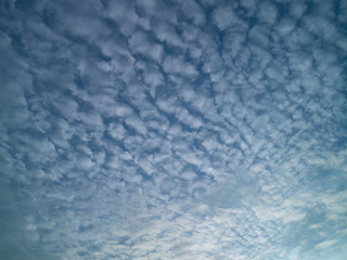 Summer blue sky with white light clouds.