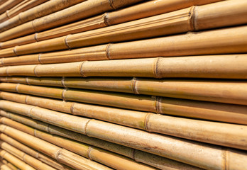 Bamboo twig wall as abstract background