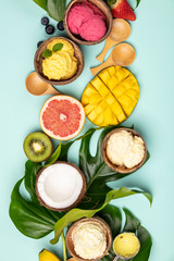 Tropical fruits and plants with variety of ice cream in coconut shells