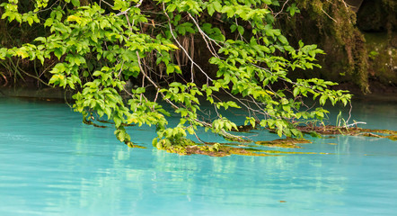 Turquoise water in a pond as an abstract background