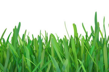Fototapeta premium Green grass nature. plants lawn. 3d rendering natural background.