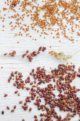 Sprigs and grains of red and yellow millet. White background.